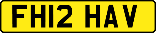 FH12HAV