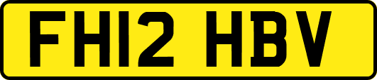 FH12HBV