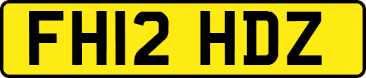 FH12HDZ