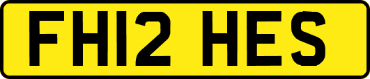 FH12HES