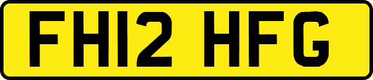 FH12HFG