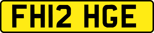 FH12HGE