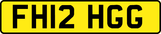 FH12HGG