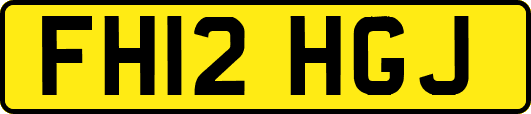 FH12HGJ