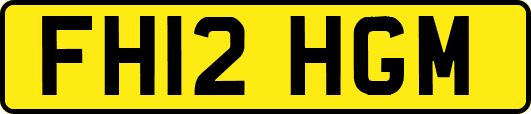 FH12HGM