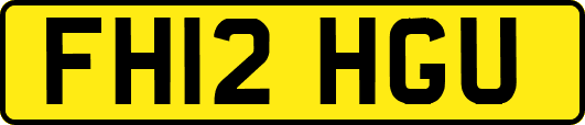 FH12HGU