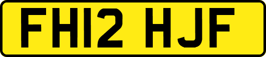 FH12HJF