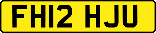 FH12HJU