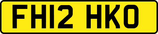 FH12HKO
