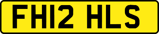 FH12HLS