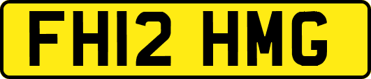 FH12HMG