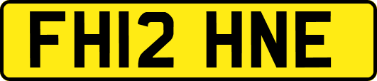 FH12HNE