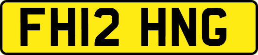FH12HNG