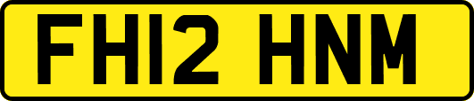 FH12HNM