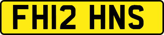 FH12HNS