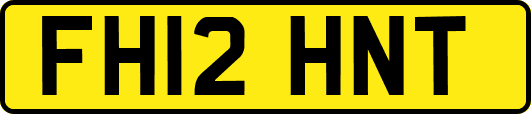 FH12HNT