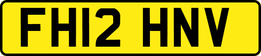 FH12HNV