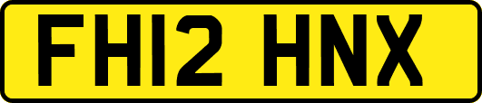 FH12HNX