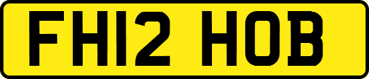 FH12HOB