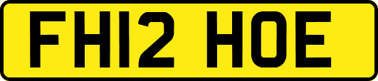 FH12HOE