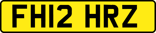 FH12HRZ