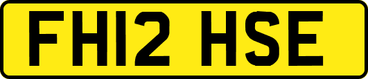 FH12HSE