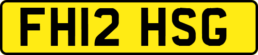 FH12HSG