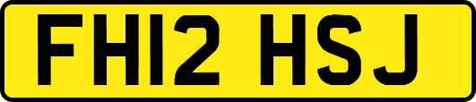 FH12HSJ
