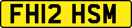 FH12HSM