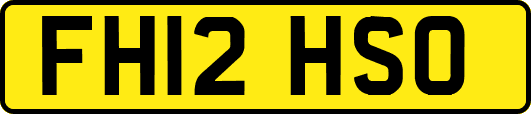 FH12HSO
