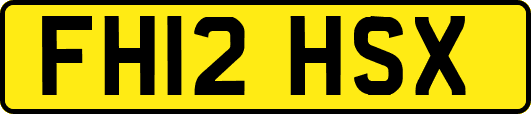 FH12HSX