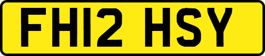 FH12HSY
