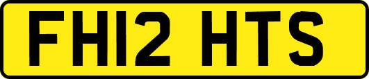FH12HTS