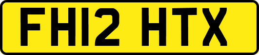 FH12HTX