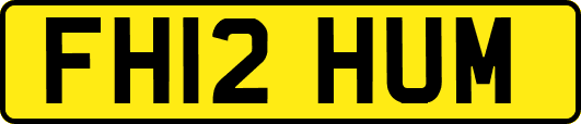 FH12HUM