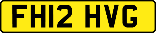 FH12HVG