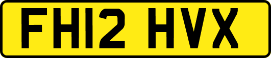 FH12HVX