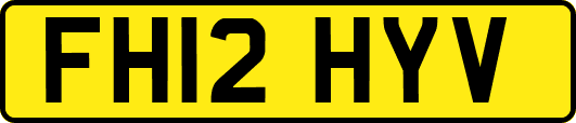 FH12HYV