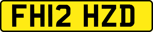 FH12HZD