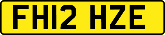 FH12HZE