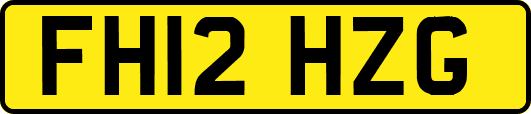 FH12HZG