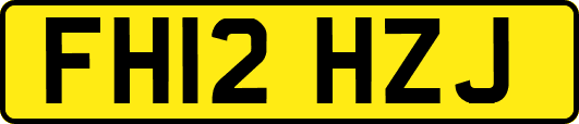 FH12HZJ