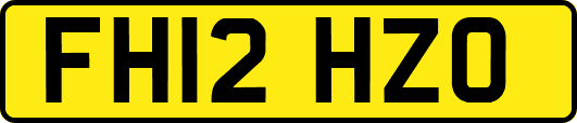 FH12HZO