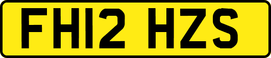 FH12HZS