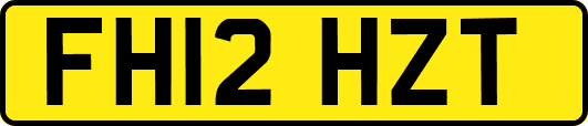 FH12HZT