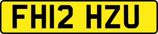 FH12HZU