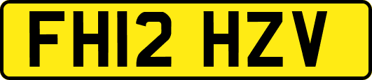FH12HZV