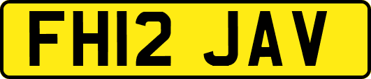 FH12JAV