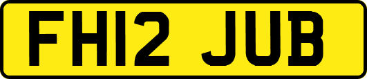 FH12JUB