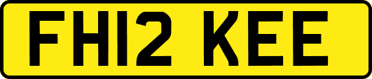 FH12KEE